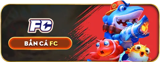 Biểu đồ phân tích hiệu suất
